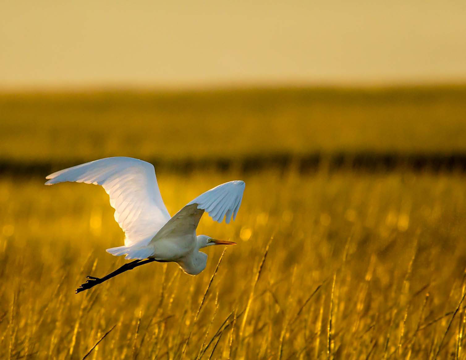 2015 Virginia Vistas: "Into the Sunrise"